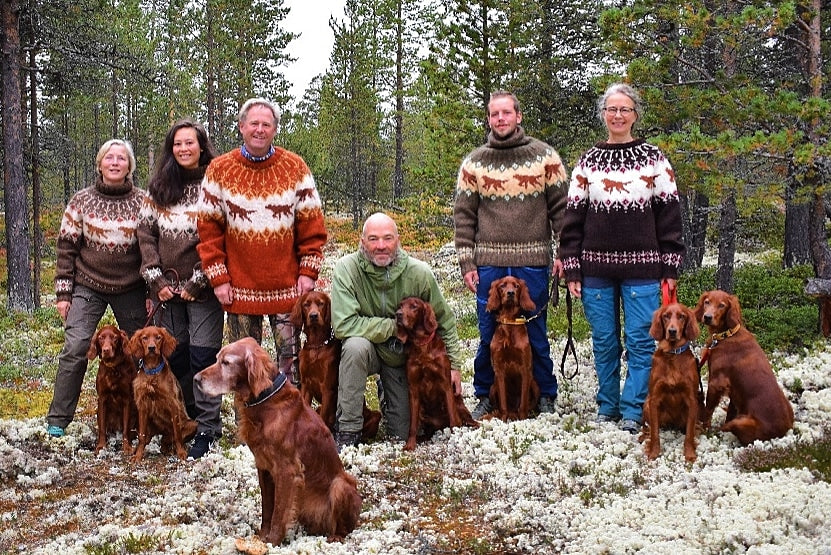 Jakthundgenseren- Irsk, Engelsk og Gordonsetter - Strikkeoppskrift